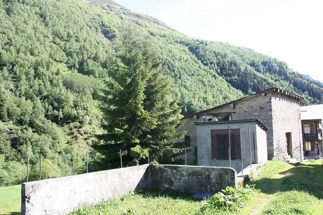 Image 19