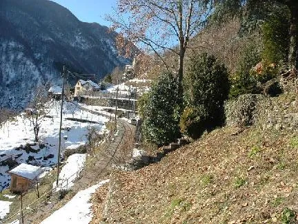 Immagine 5