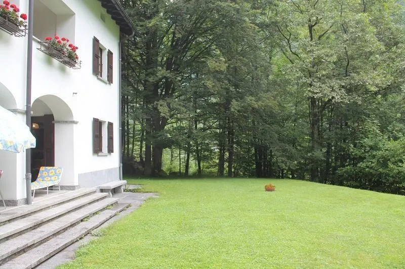 Image 12