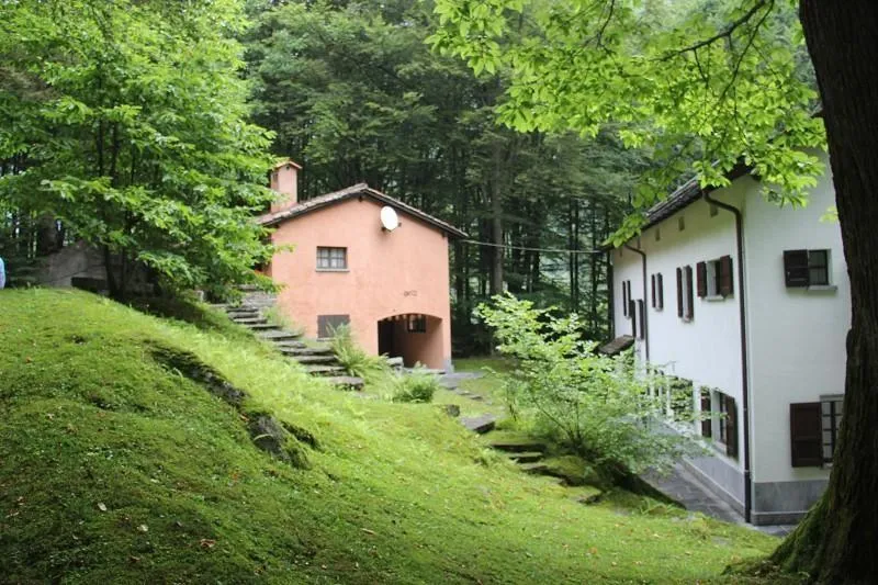 Image 11