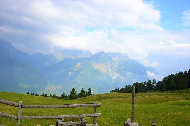 Immagine 15