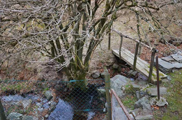 Image 22
