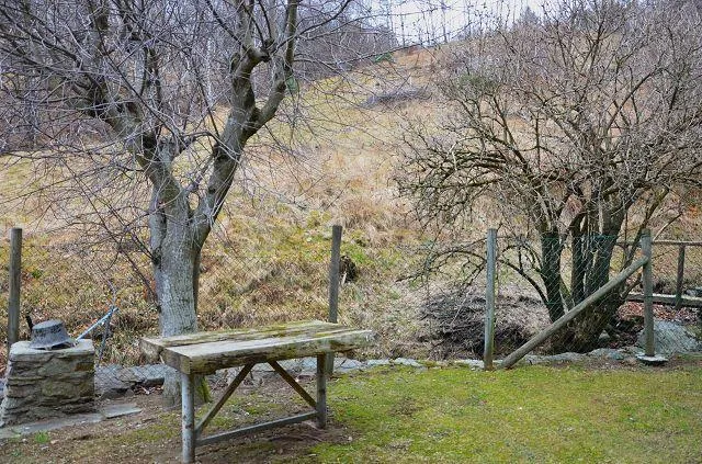 Image 17