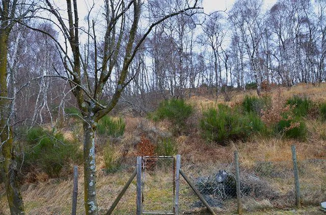 Image 30