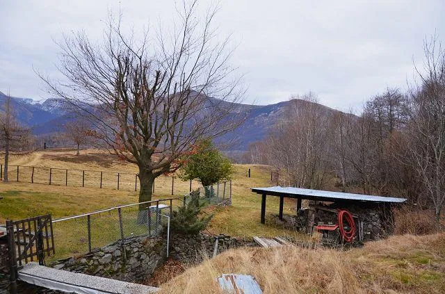 Image 14