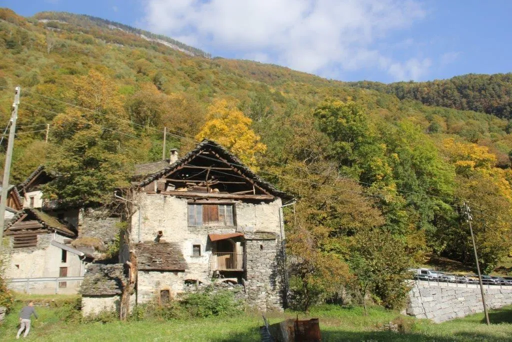 Image 2