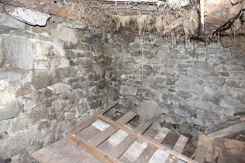 Image 6