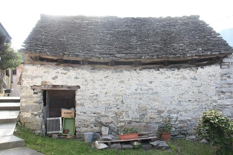 Image 8