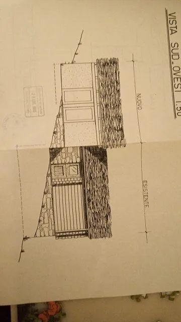 Image 19