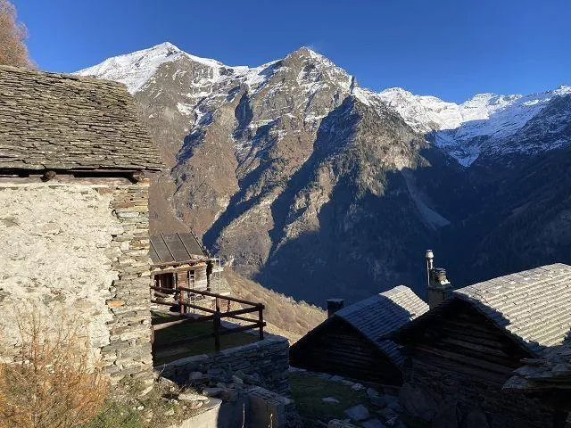 Image 14
