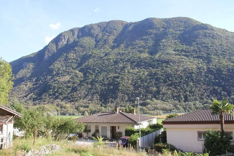 Immagine 7