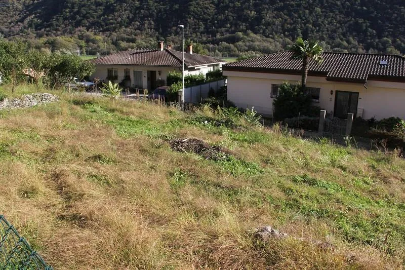 Immagine 5