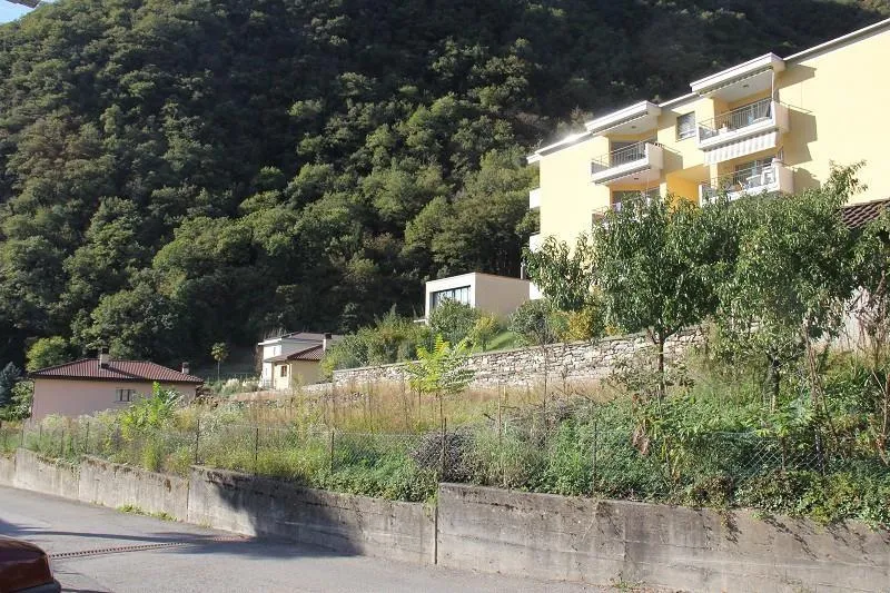 Immagine 6
