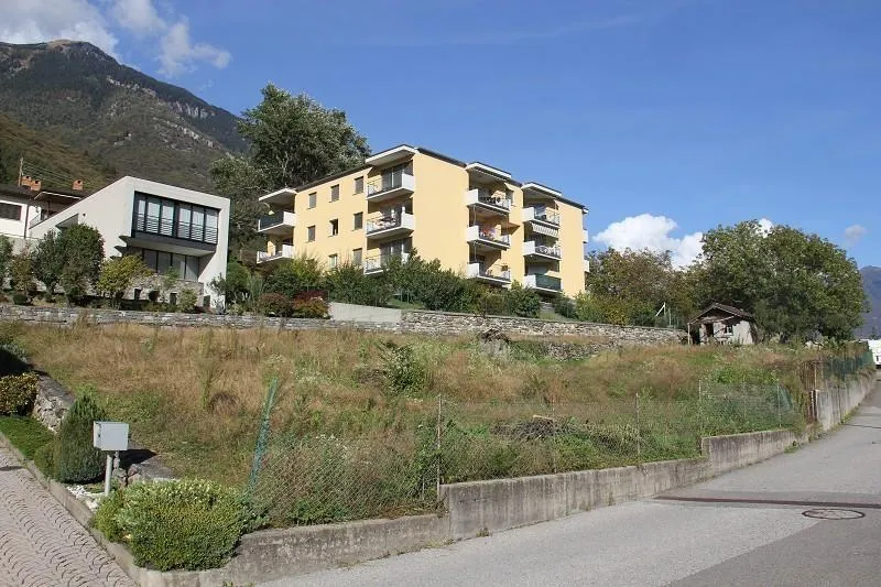 Immagine 3