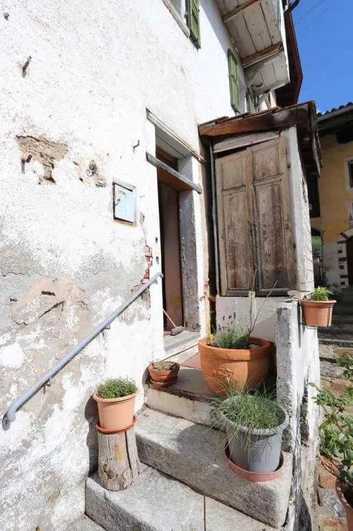 Immagine 5