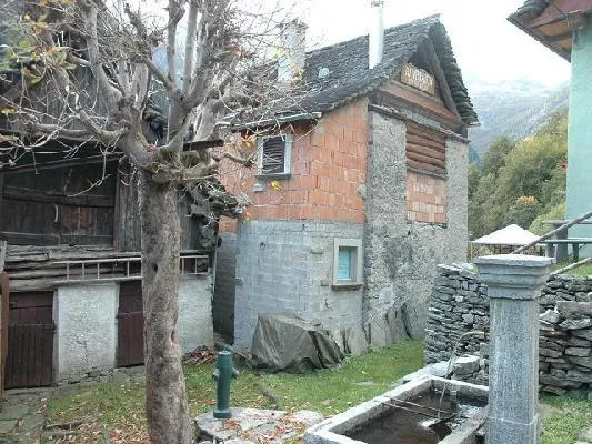 Immagine 3