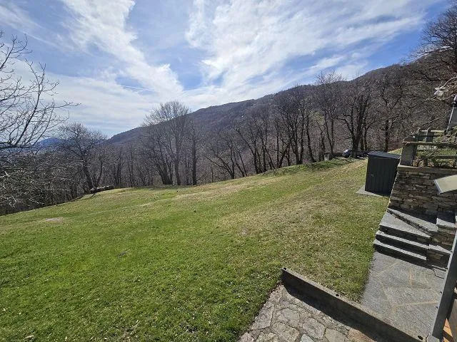 Image 19