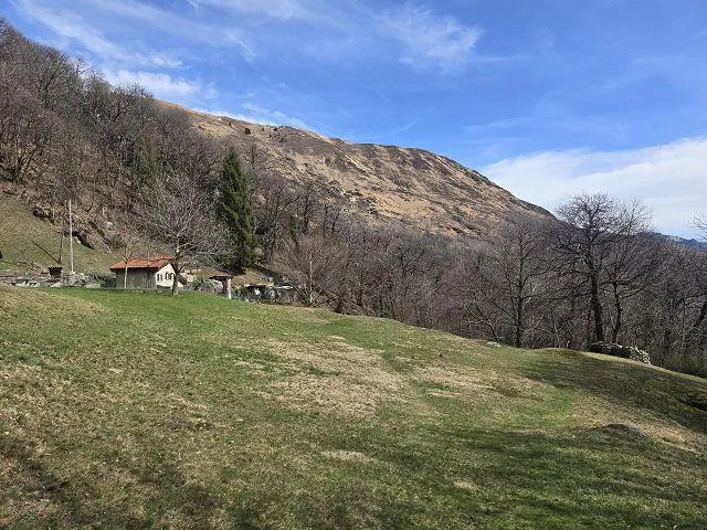 Image 16