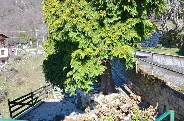 Image 15