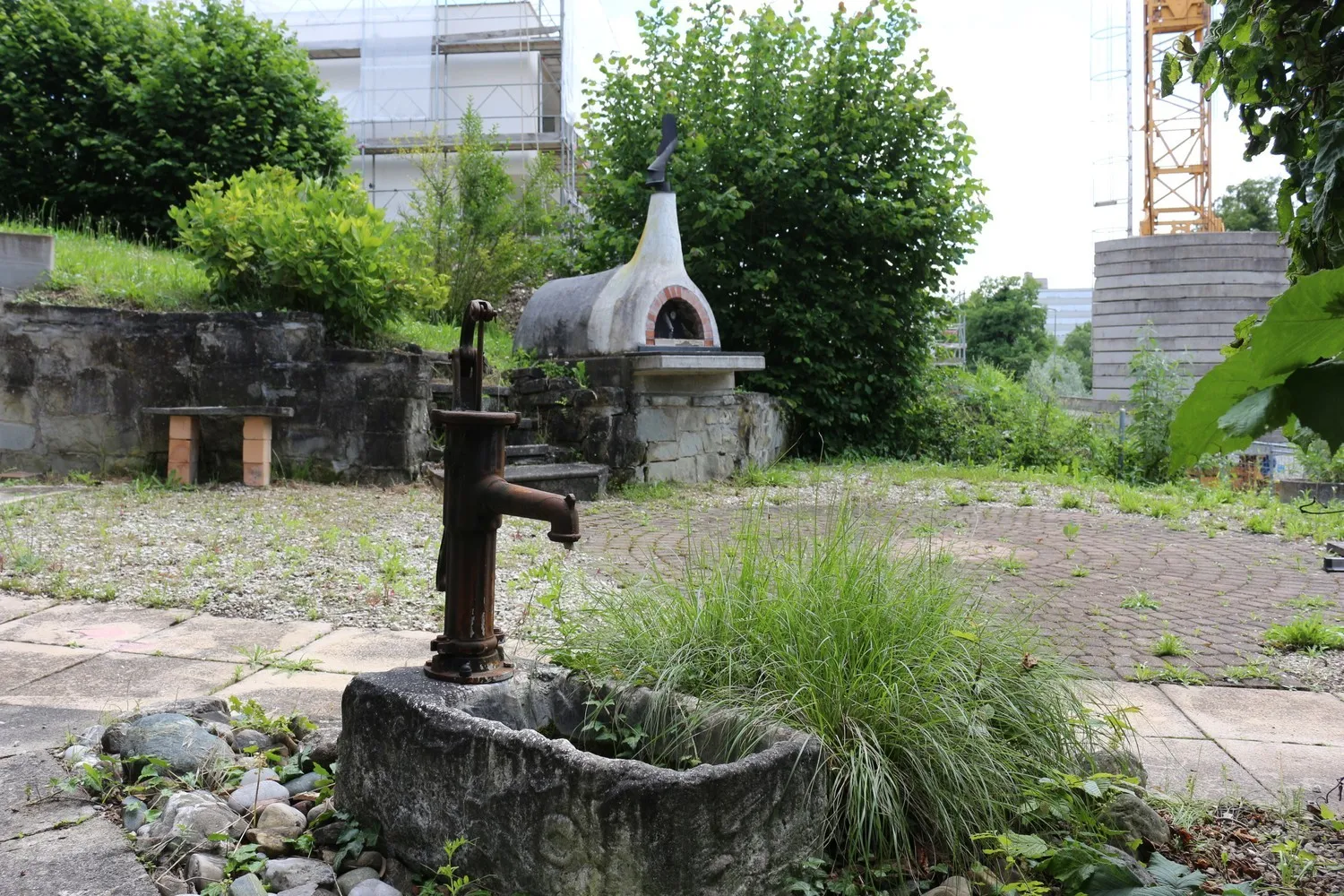 Image 13