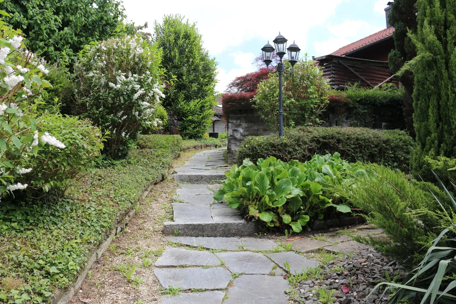 Image 12