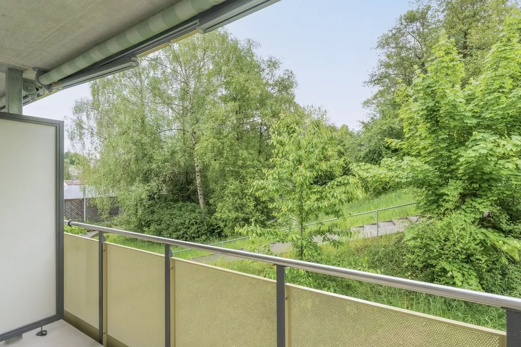 Bild 15
