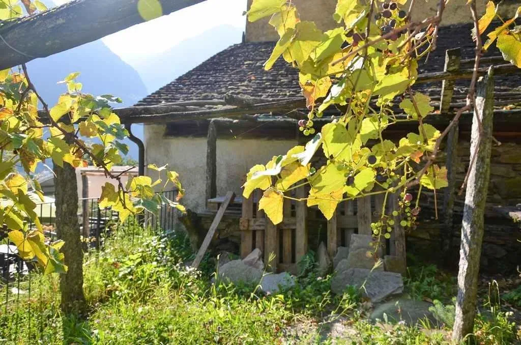 Image 11