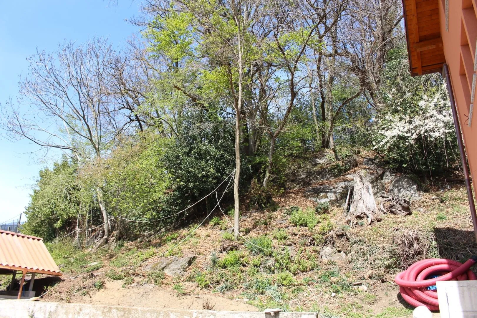 Image 15