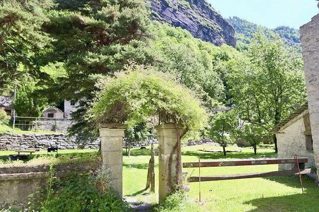 Image 26