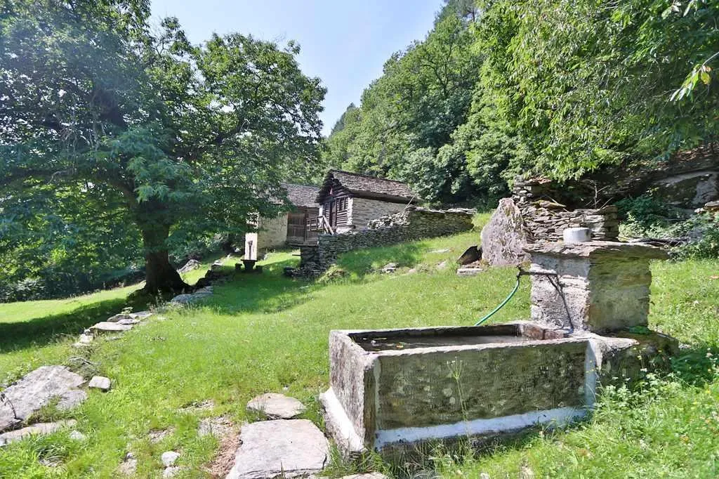 Image 6