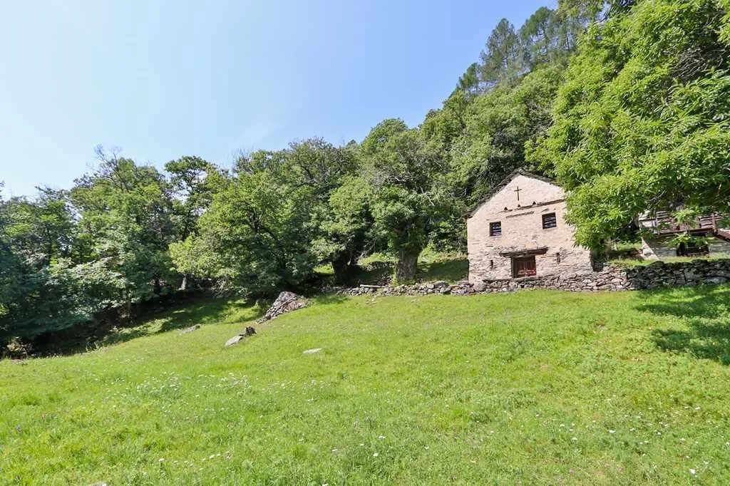 2 Bergrustici zum Ausbauen mit viel Land / due rustici da ristruttu...