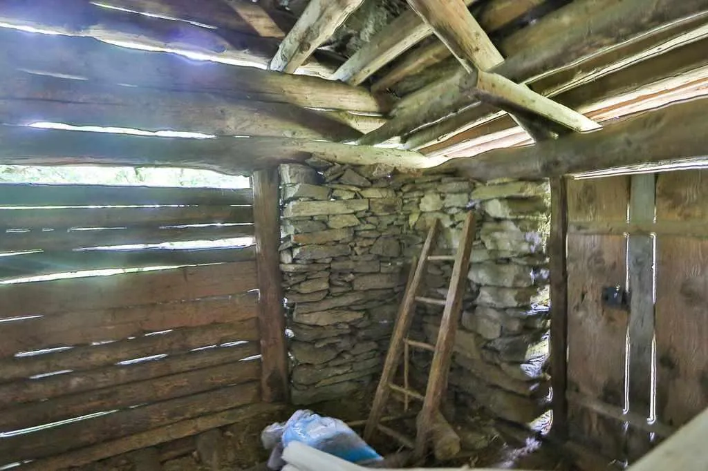 Image 12
