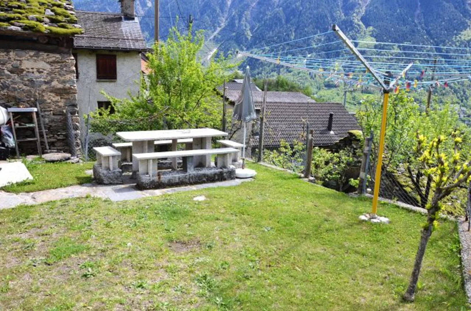 Image 41