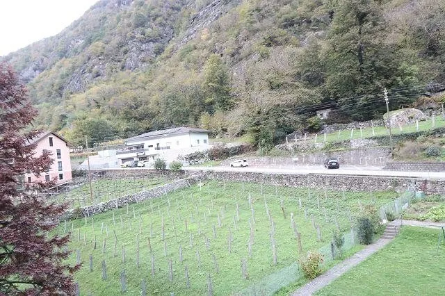 Image 13