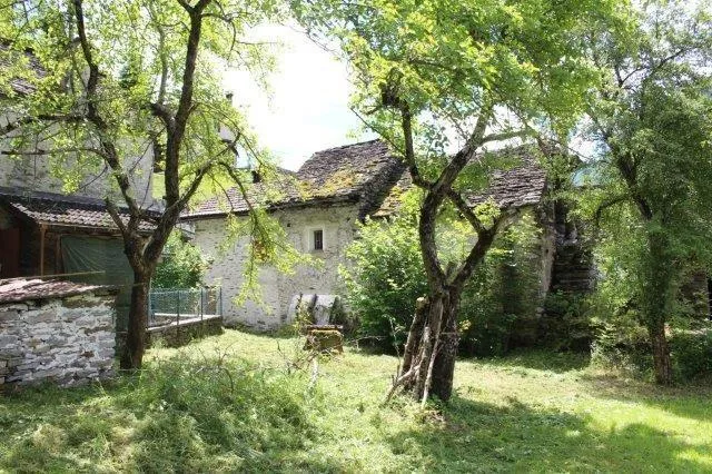 Image 15