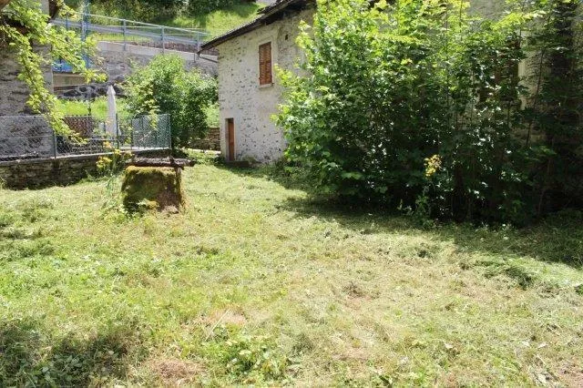 Image 13