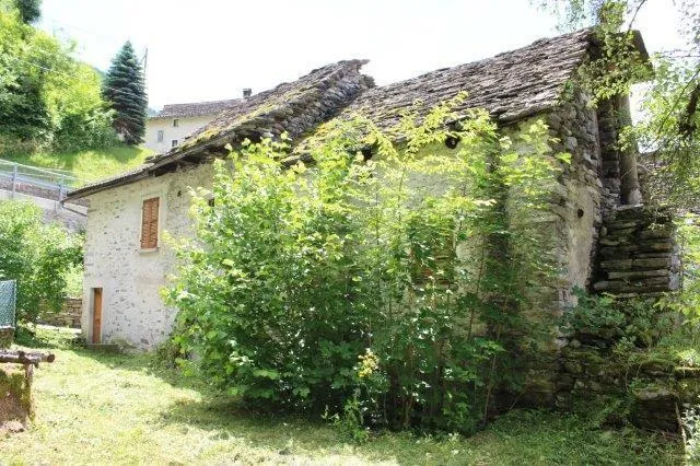 Image 12