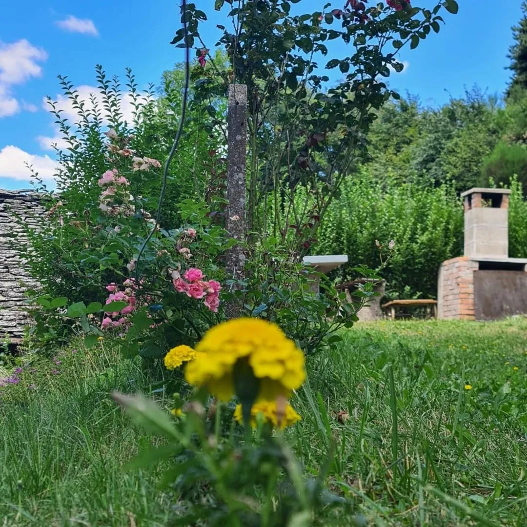 Image 23