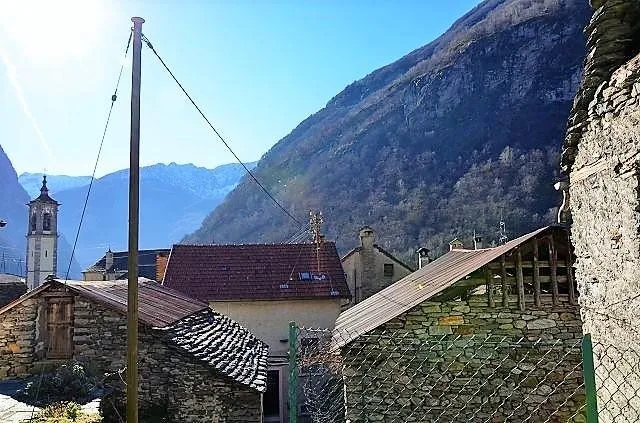 Image 12