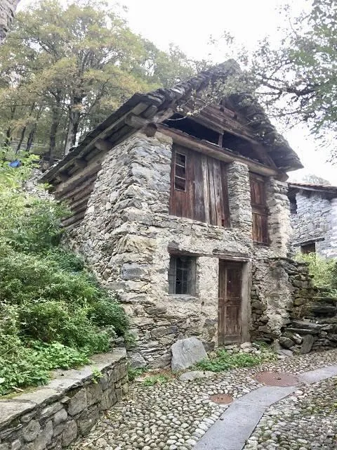 Immagine 2