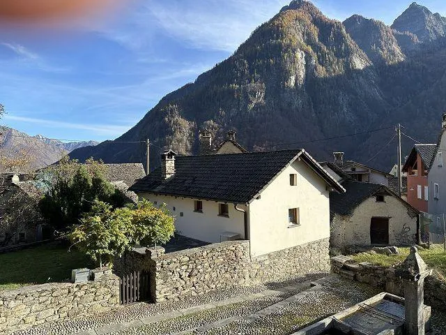 Immagine 11