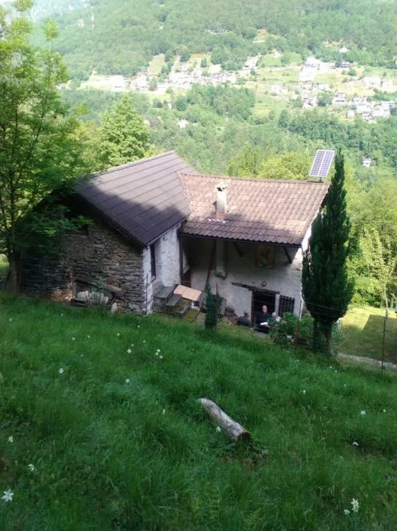 Image 3