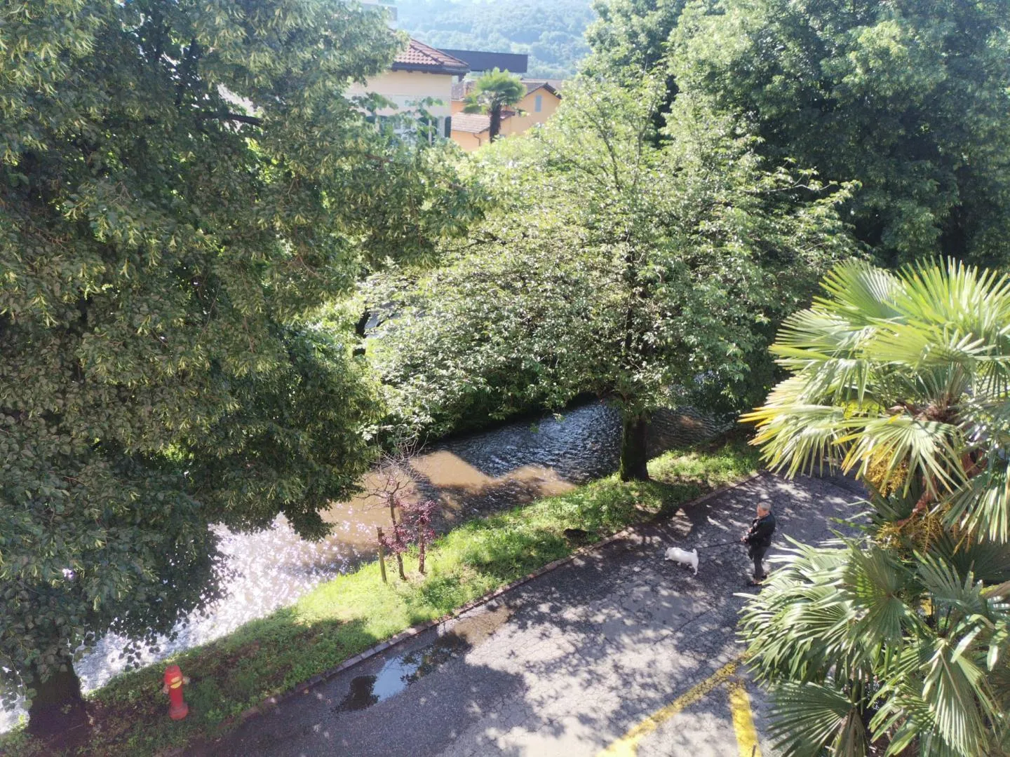 Image 11