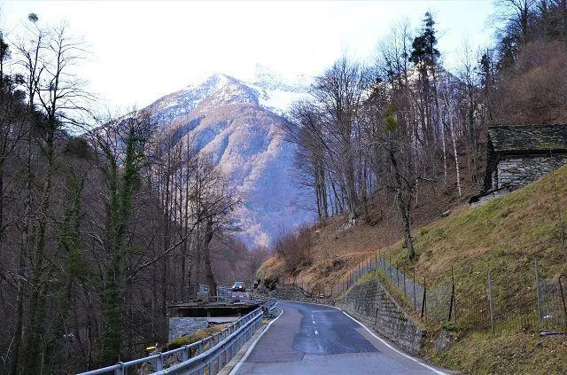 Image 15