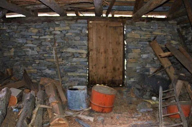 Image 8