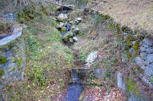 Image 21