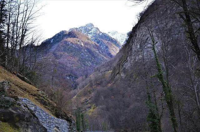 Image 14