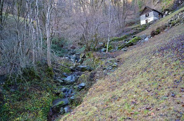 Image 19