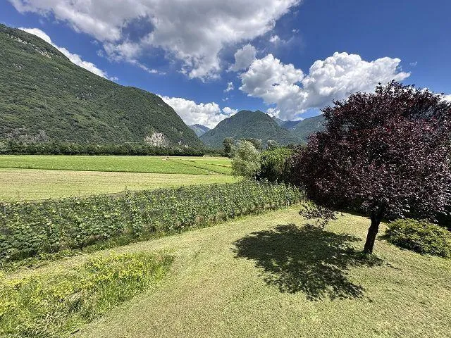 Image 17