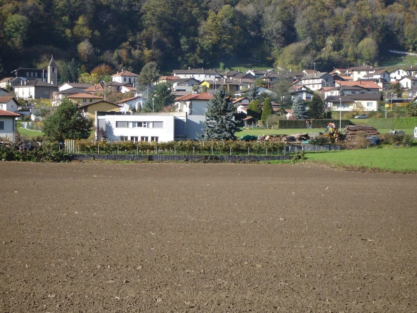 Image 19